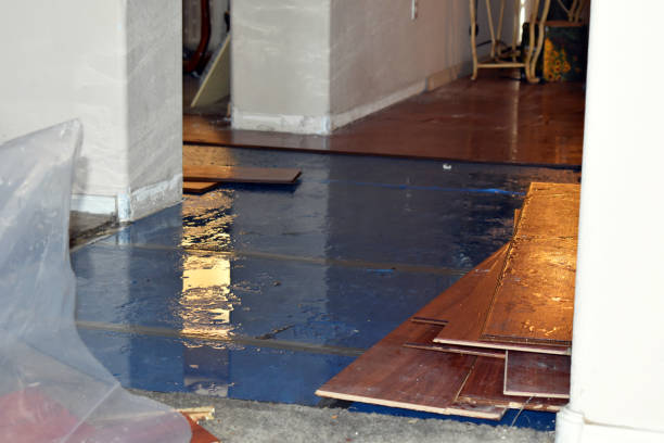 Professional Water Damage Restoration technician working in Petersburg, OH
